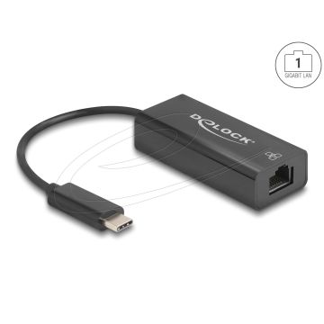 DELOCK USB 2.0 Type-C Adapter zu 10/100 Mbps LAN (64306) thumbnail