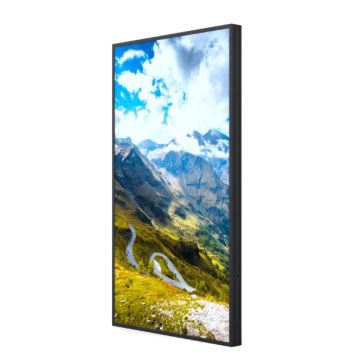 Hisense 65WF25E beeldkrant 165,1 cm (65") Wifi 2500 cd/m² Full HD Zwart Type processor Android 9.0 24/7 (65WF25E) thumbnail