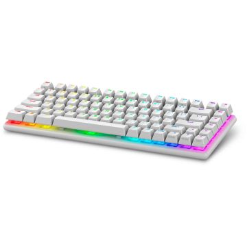 Alienware Pro Wireless Gaming Keyboard toetsenbord Gamen USB + RF Wireless + Bluetooth Wit (PRO-KB-W-WW) thumbnail