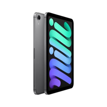 APPLE iPad mini Wi-Fi + Cellular 128GB - Space Grey (MXPN3NF/A) thumbnail