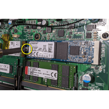 Elo M.2 SSD, 256 GB (E206556) thumbnail