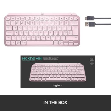 Logitech MXKeys Mini WRLS Illuminated KB ROSE - C (920-010487) thumbnail