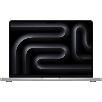 Apple MBP 14 Silver/10C/10C GPU/24GB/1TB (MDE64N/A) thumbnail
