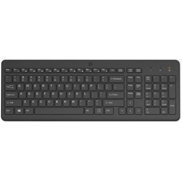 HP SPS-KEYBOARD HP 220/225 WL NRL (N60421-DH1) thumbnail