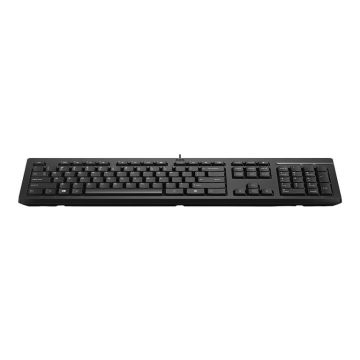 HP SPS-KBD HP 125 WIRED C BG (P10665-261) thumbnail