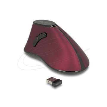 DeLOCK - Maus - ergonomisch - Für Rechtshänder - optisch - 5 Tasten - kabellos - 2.4 GHz - kabelloser Empfänger (USB) - Schwarz  (12528) thumbnail