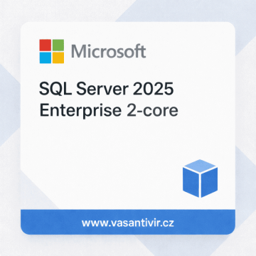 Microsoft OVS/SQL CAL 2025 All Lng OLV E Each AE A (EP2-70842) thumbnail