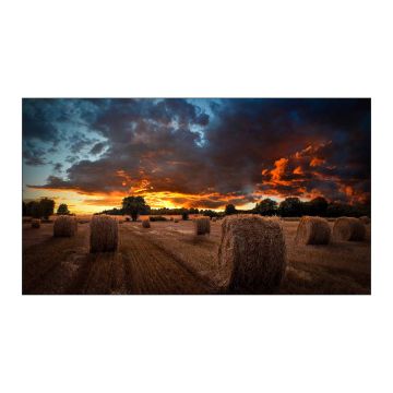 Samsung 55" Video Wall VMB-U 3.5mm BtB (LH55VMBUBGBXEN) thumbnail