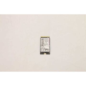 Lenovo SSD 256GB M.2 2242 PCIe4x4 SAM OPAL (5SS0W79502) (5SS0W79502) thumbnail