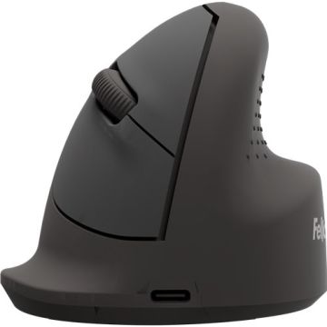Fellowes 100143579 muis Universeel Rechtshandig Bluetooth + USB Type-C Optisch 1600 DPI (100143579) thumbnail