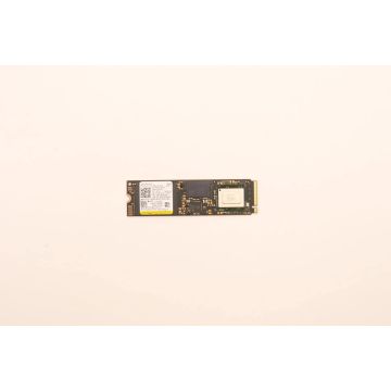 Lenovo SSD_ASM (5SS0W79574) (5SS0W79574) thumbnail