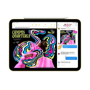 Apple IPad A16 Wi-Fi 11 256GB (MD4G4KN/A) thumbnail