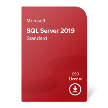 Microsoft SQL Server Standard Edition (228-11397) thumbnail