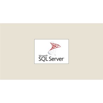 Microsoft SQL Server - softwareforsikr (359-06679) thumbnail