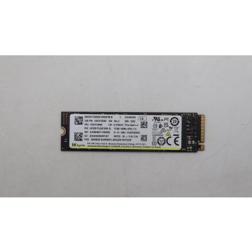Lenovo SSD 1TB M.2 2280 LTS PCIe4x4 SAM OP (5SS0W79569) (5SS0W79569) thumbnail