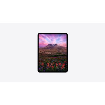APPLE ACE iPad Pro 12.9 36M T3+ (SAHN2ZM/A) thumbnail
