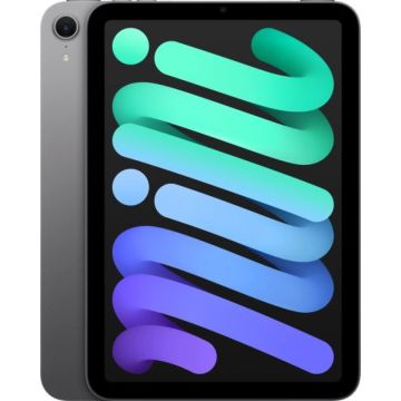 Apple IPAD MINI WI-FI CL 128GB SPACE GRAY-DK (MXPN3KN/A) thumbnail