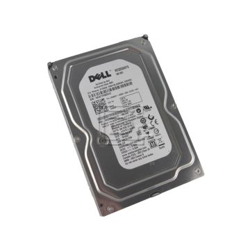 Dell HD,250G,ES,7.2K,3.5,V3,SGT,GLX (T161H-RFB) thumbnail
