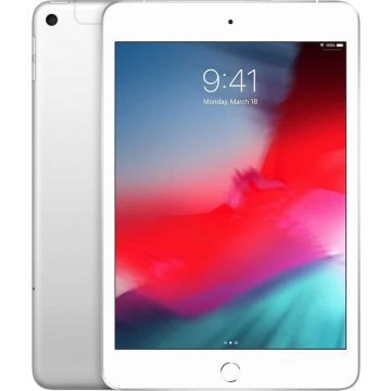 Apple iPad mini 5 256GB WIFI+LTE 7.9 Silver (MUXD2B/A-R4) thumbnail