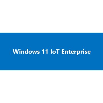 Microsoft Windows 11 IoT Ent. LTSC 2024, Value (MS0 EP2-07324) thumbnail