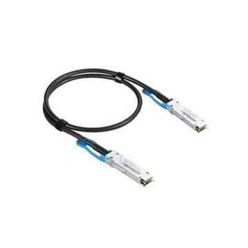 Extreme Networks - SFPDD 20G Cables SFPDD to SFPDD 20G DAC 0.5M (20G-DACP-SFPDDZ5M) (20G-DACP-SFPDDZ5M) thumbnail