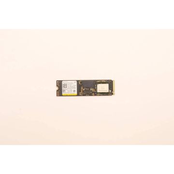 Lenovo SSD_ASM (5SS0W79546) (5SS0W79546) thumbnail