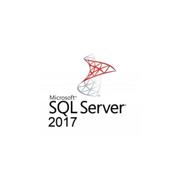 Microsoft SQL Server Standard (228-11135) thumbnail