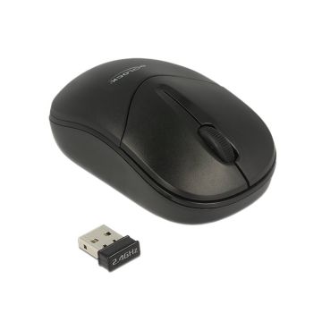 DeLOCK 12494 muis Ambidextrous RF Draadloos Optisch 1000 DPI (12494) thumbnail