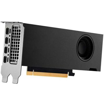 PNY Quadro RTX 2000 ADA           16GB GDDR6 4xmDP (VCNRTX2000ADA-SB) thumbnail